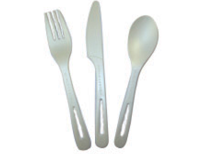 Disposable - Compostable Spoons 24ct 